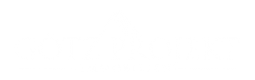 Götz Projet - Immobilien